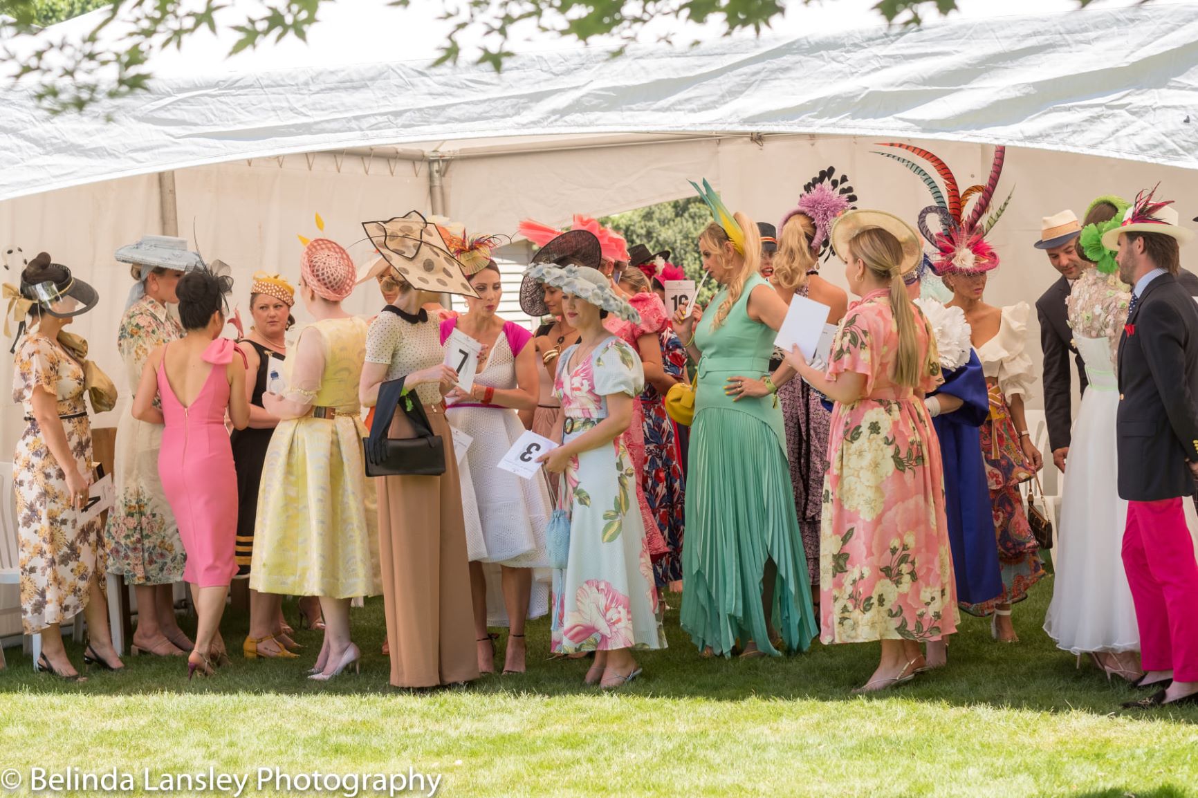 Fashion in the Field Riccarton Park (Racing)